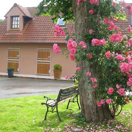 Hotel Du Moulin Aux Draps Desvres Екстер'єр фото