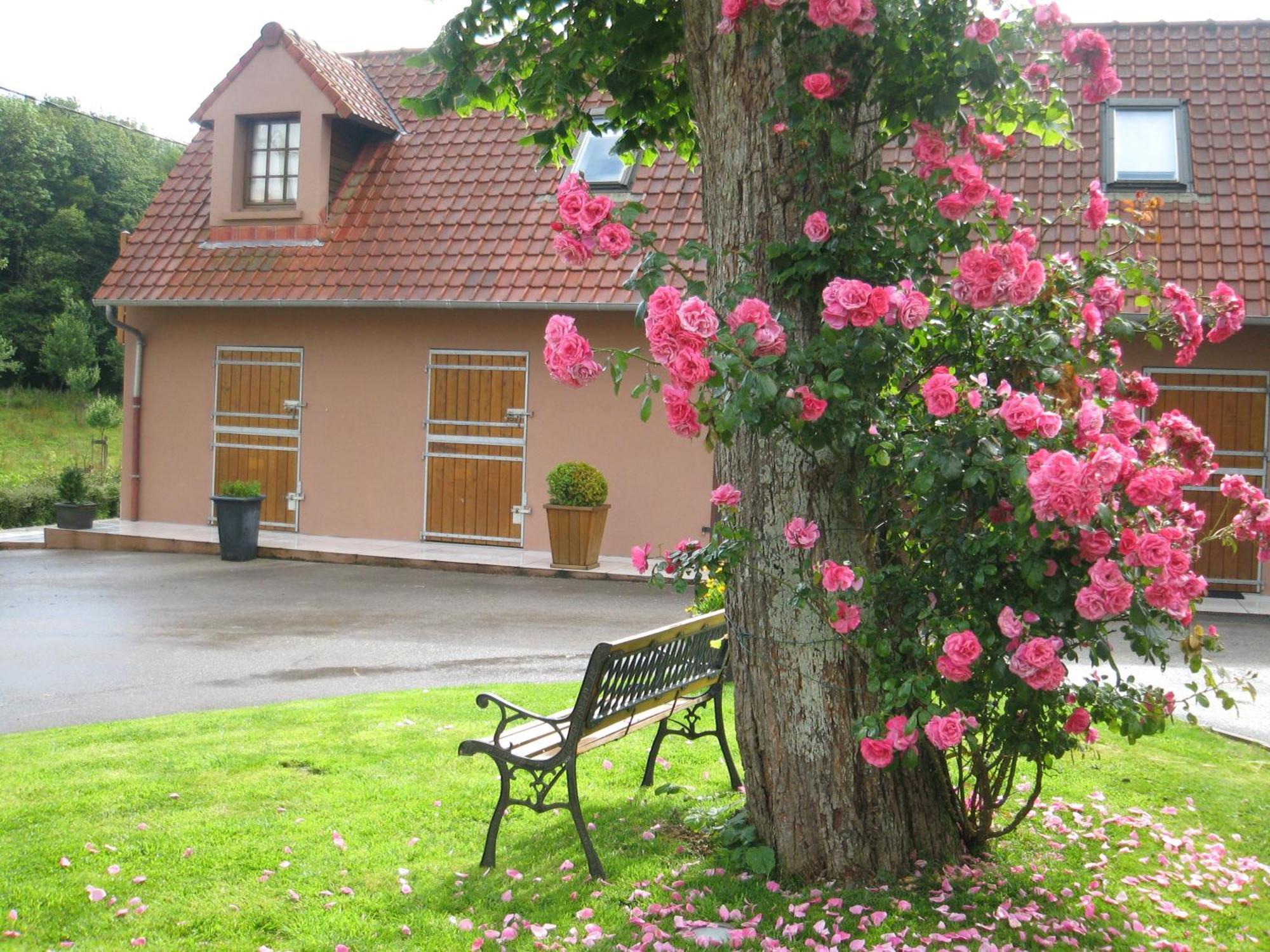 Hotel Du Moulin Aux Draps Desvres Екстер'єр фото